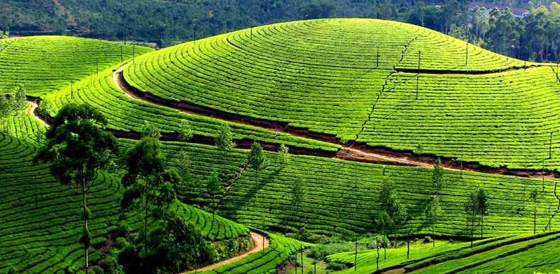 Gems of Kerala Tour Package Gems of Kerala Tour Package